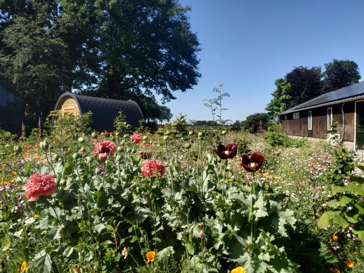 Chalet "Het Biggetje" Hottub - Sauna Volkel エクステリア 写真